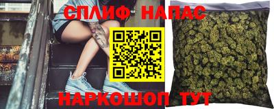 индика Бузулук